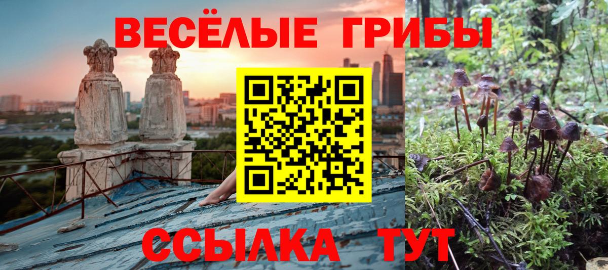 Галлюциногенные грибы прущие грибы Кумертау
