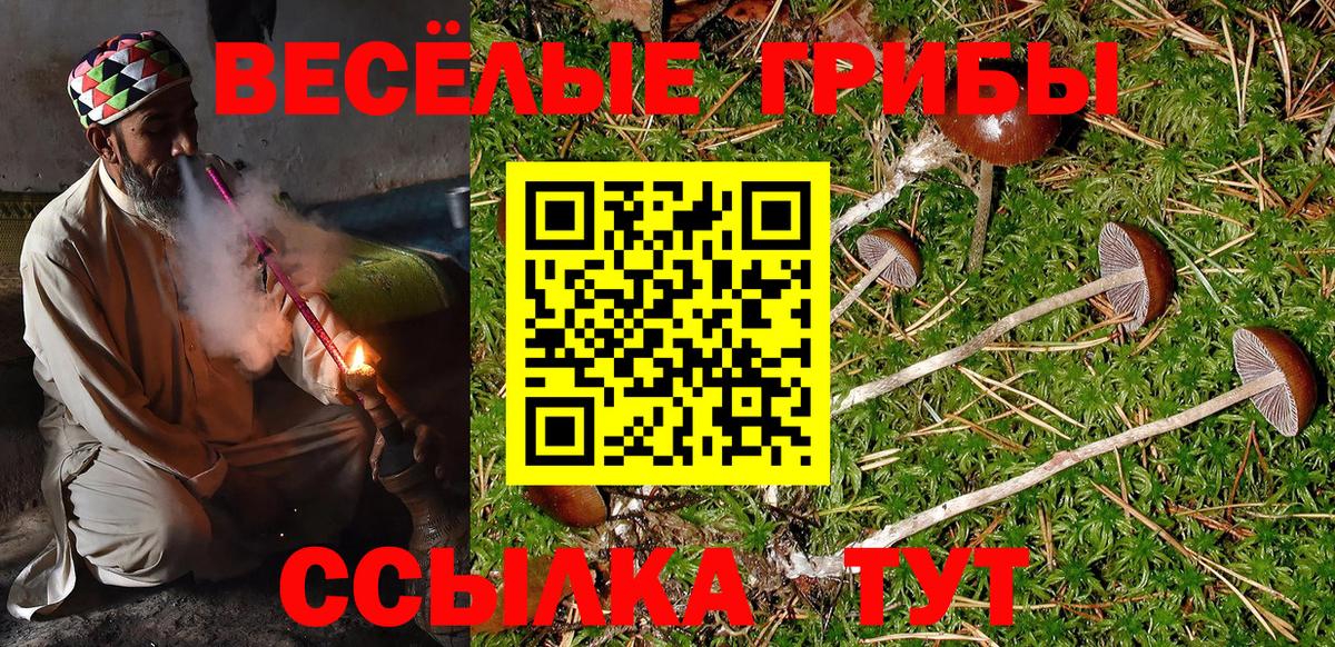 Кумертау  Галлюциногенные грибы Cubensis  Вход с VPN 
